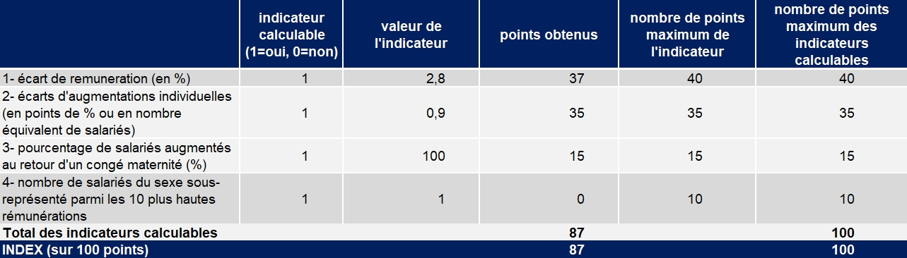 Index égalité professionnelle Hydrokit